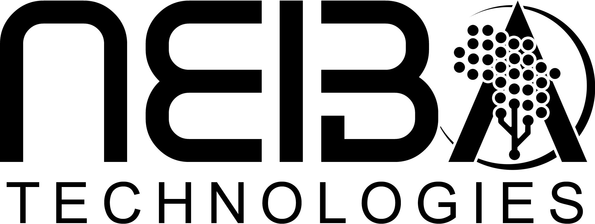 NEIBA Technologies